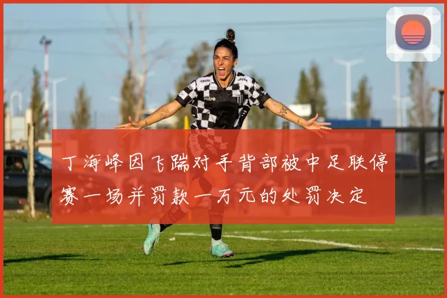 丁海峰因飞踹对手背部被中足联停赛一场并罚款一万元的处罚决定